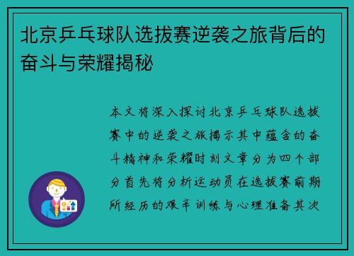 北京乒乓球队选拔赛逆袭之旅背后的奋斗与荣耀揭秘