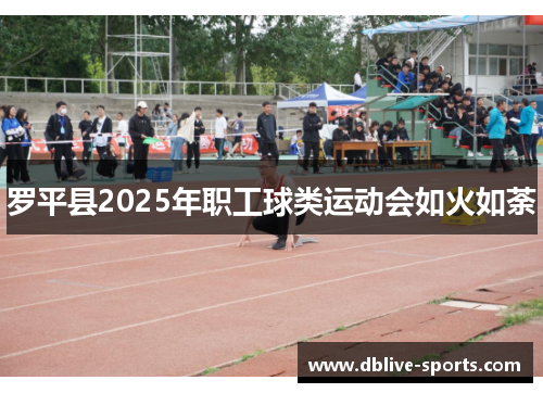 罗平县2025年职工球类运动会如火如荼